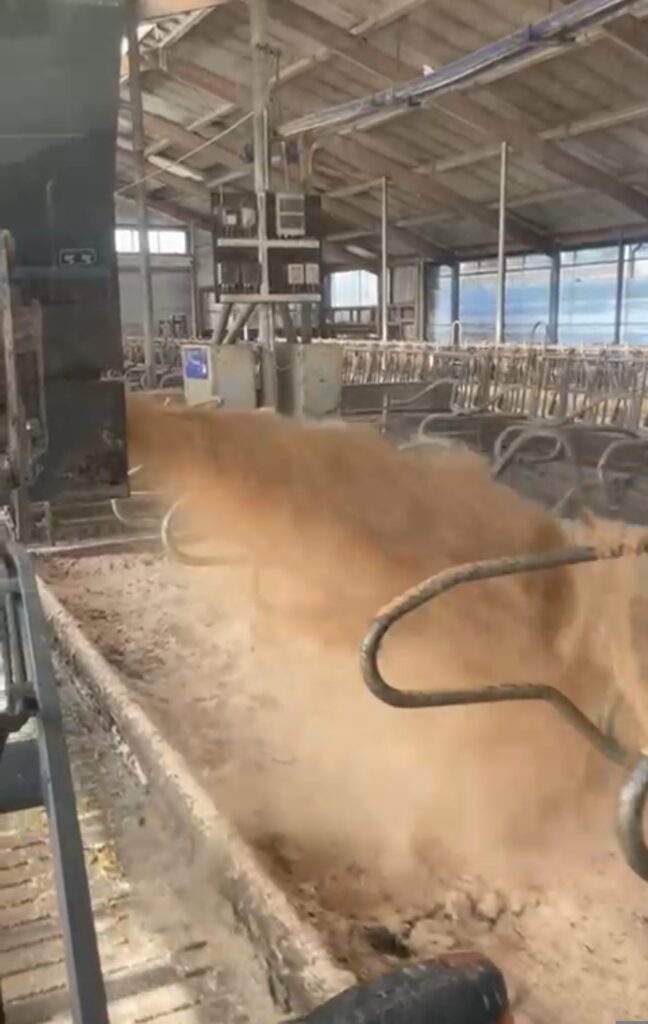 Neues Liegebett für Kühe im Stall auf dem Matzerhof – moderne und komfortable Haltung für gesunde Milchviehhaltung