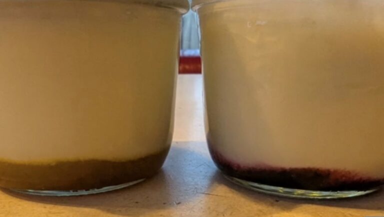 Griechischer Joghurt selber machen aus Rohmilch mit Marmelade im Glas – fruchtig und cremig