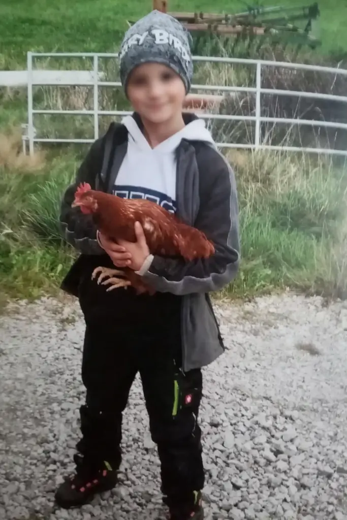 Junge hält ein Huhn auf dem Bauernhof – Einblick in das Leben mit Tieren am Matzerhof