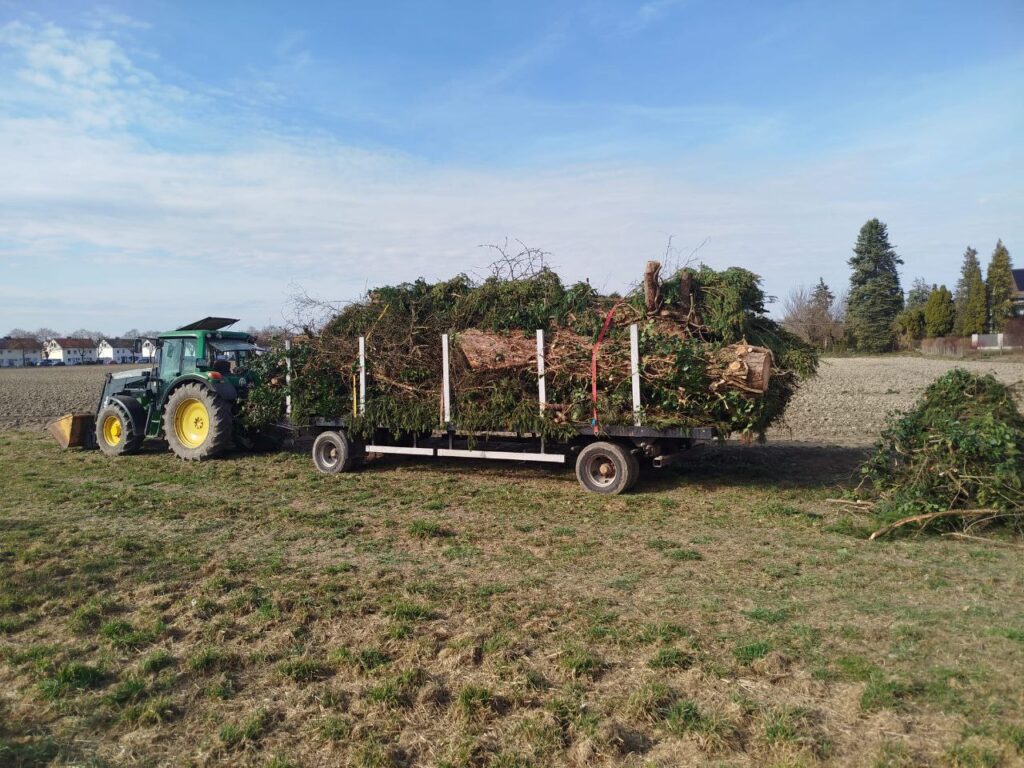 Traktor transportiert gefällten Baum zum Matzerhof in der Nähe von Bayern