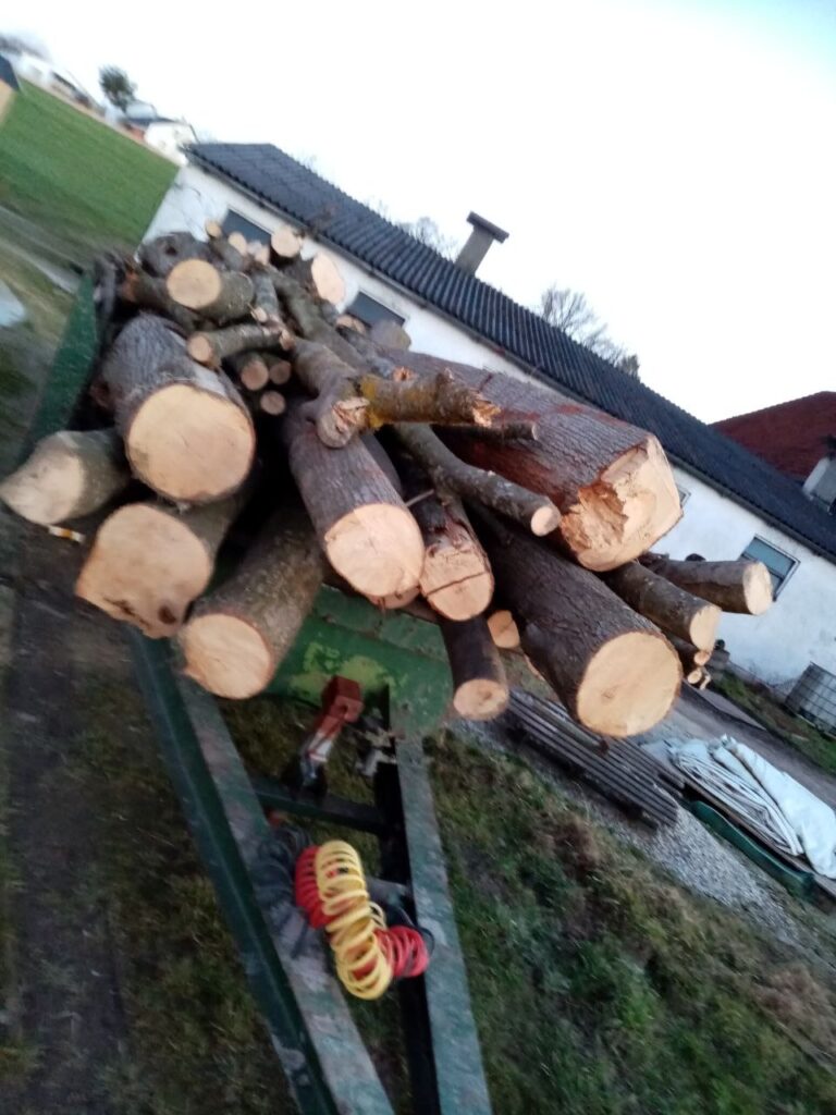 Gesägte Holzstämme auf landwirtschaftlichem Anhänger am Matzerhof – regionale Forstarbeit und nachhaltige Bewirtschaftung in Bayern