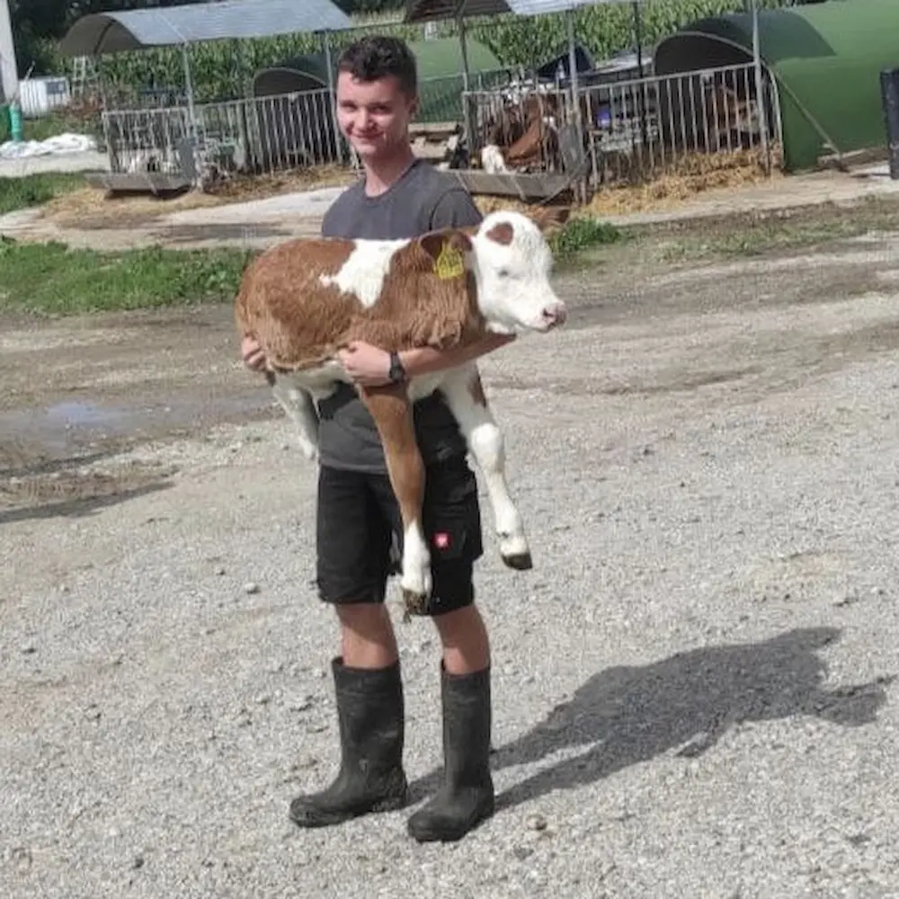 Junger Landwirt vom Matzerhof trägt ein Kalb – Einblick in die Arbeit auf dem Bauernhof
