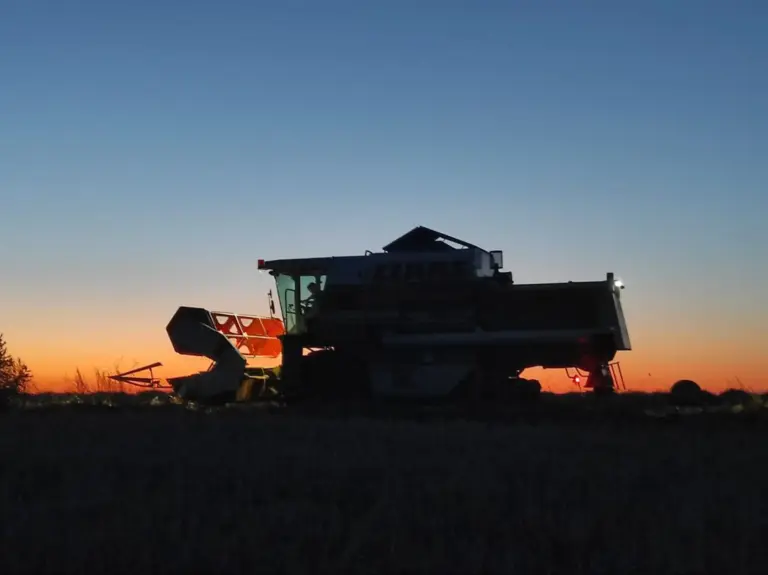 Mähdrescher bei der Ernte im Sonnenuntergang – Landwirtschaft am Matzerhof in der Region Augsburg
