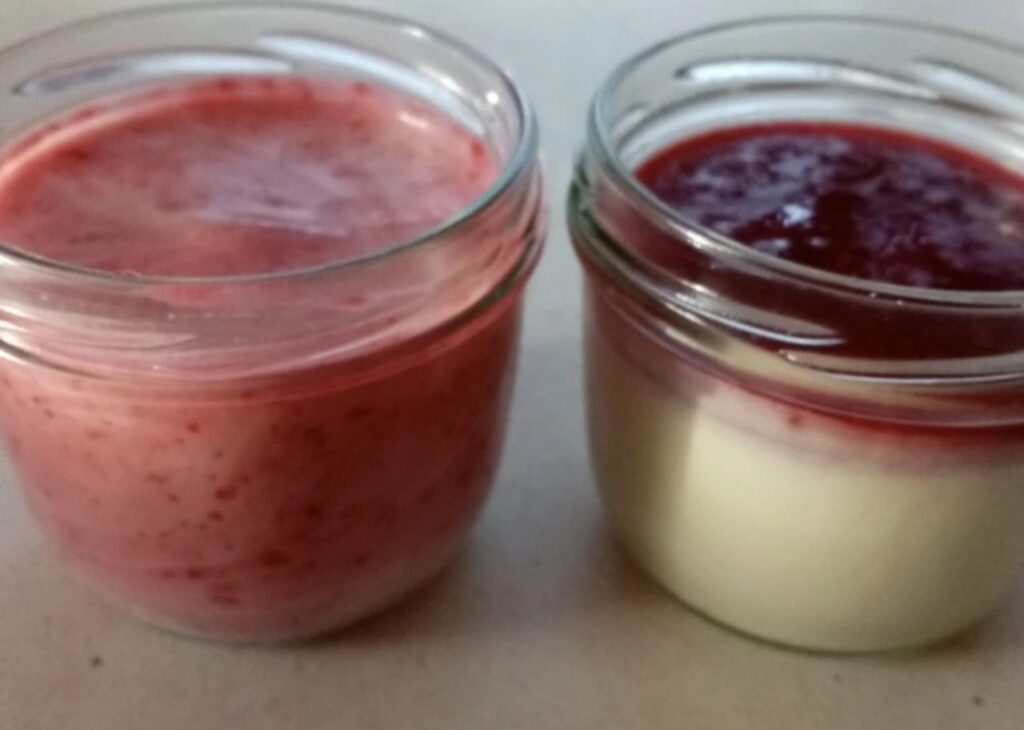Griechischer Joghurt aus Rohmilch mit Fruchtmus und Marmelade im Glas – cremig und selbst gemacht